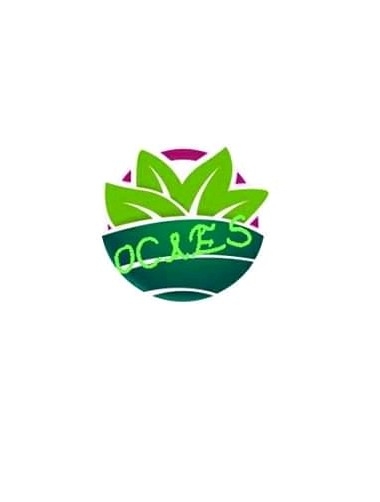 OCAES International